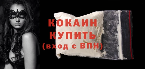 дурь Няндома