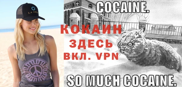 метадон Новозыбков