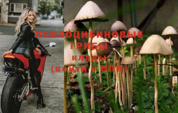 спайс Новодвинск