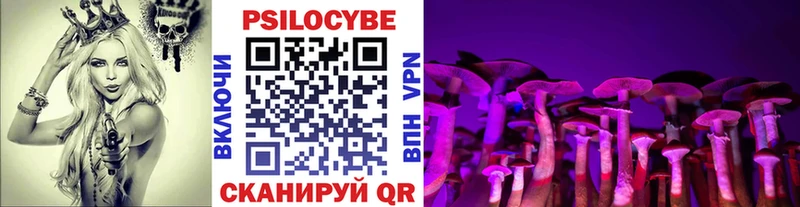 Псилоцибиновые грибы Psilocybine cubensis  мега ONION  Щёлкино  где купить наркоту 